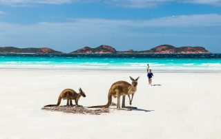 Cross Border Financial Planning - Retirement in Australia- the financial implications Australia/UK - Kangaroos on a beach