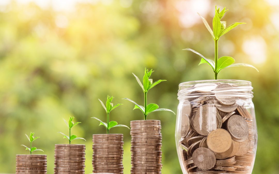What is Cashflow Planning? Picture of coins growing plants